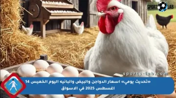 «تحديث يومي» أسعار الدواجن والبيض والبانية اليوم الخميس 14 أغسطس 2025 في الأسواق